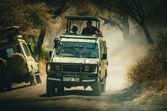 Game drive safari