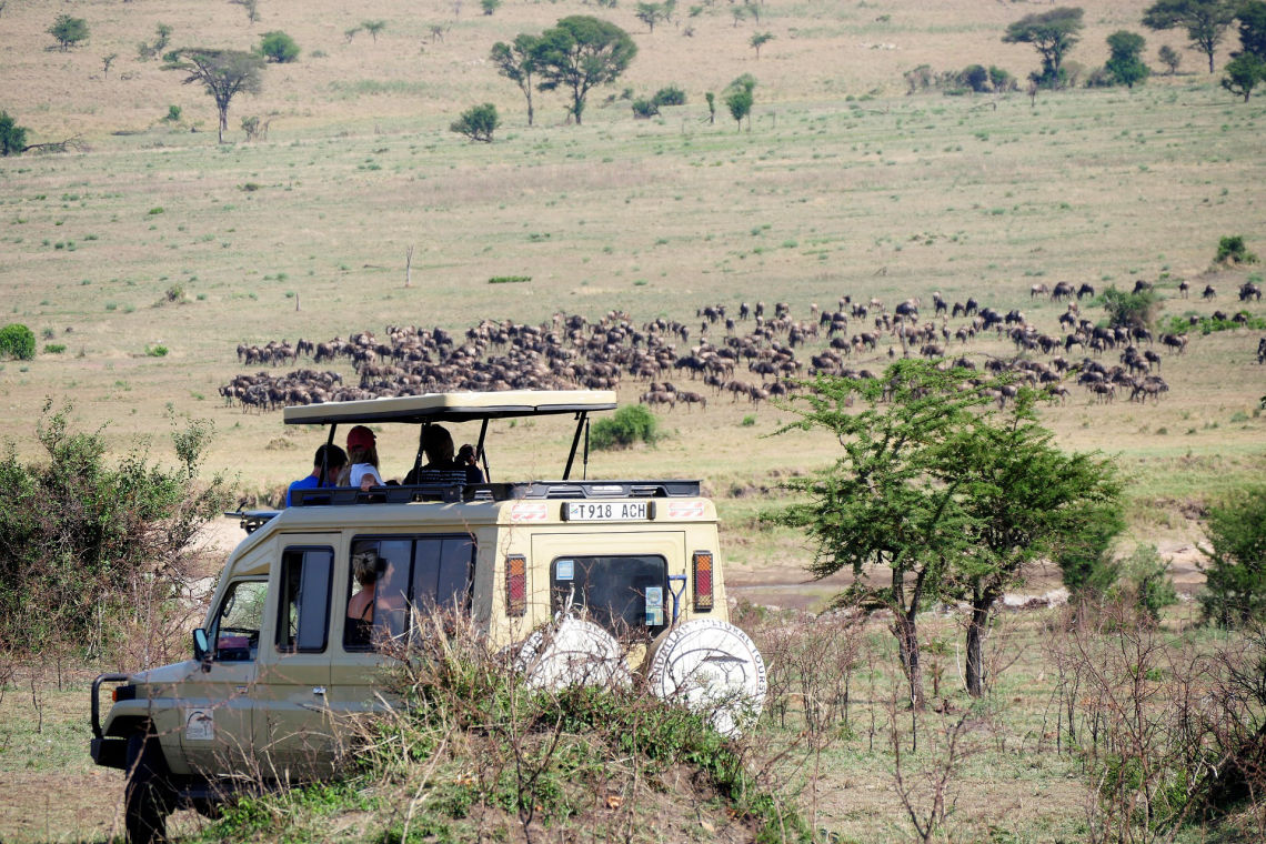 About Next Level Destinations Tanzania